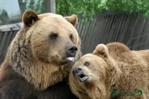 Rīgas Zooloģiskais dārzs